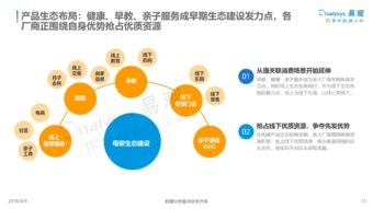 中國互聯(lián)網(wǎng)母嬰市場年度綜合分析2018